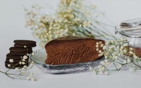 Piece of chocolate cake with white gypsophila flowers