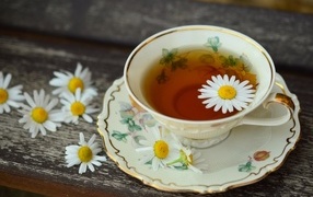 Cup of tea with chamomile flowers on the table