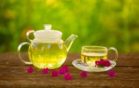 Green tea with red carnation flowers