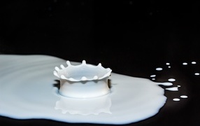 Брызги белого молока на черном фоне
