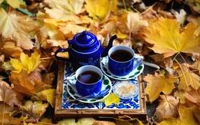 Two cups of coffee with a teapot stand on fallen leaves