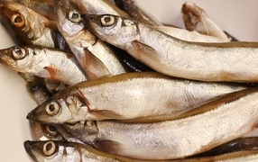Fresh capelin fish close up