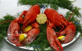 Large boiled crayfish on a plate with dill
