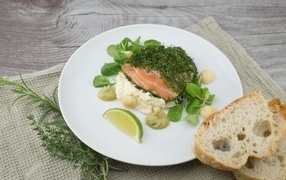 Piece of fish with herbs on the table with bread