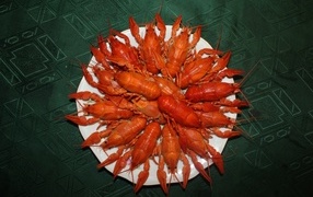 Red boiled crayfish on a white plate