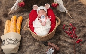 Baby sleeps in a basket with a pacifier in his mouth