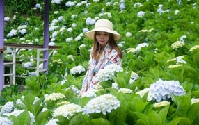 Девушка азиатка сидит в цветах гортензии