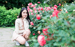 Красивая девушка сидит у куста роз