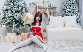 Asian girl in a New Year's costume in a room with a spruce tree