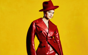 Bright beautiful model Kendall Jenner in a red outfit on a yellow background