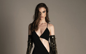 Femme fatale model Barbara Palvin in a black dress