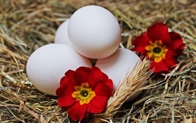 Белые яйца с цветами в гнезде на праздник Пасха
