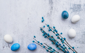 Willow branch with blue and white eggs on a gray background for Easter holiday