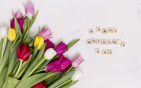 Красивый букет тюльпанов на международный женский день