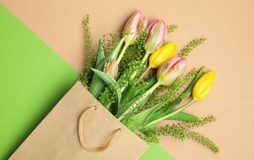 Bouquet of tulips in a bag for International Women's Day