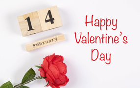 Красивая открытка с розой на белом фоне на День влюбленных