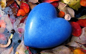 Большое голубое сердце лежит на листве