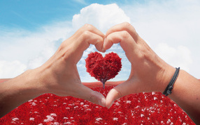 Две руки создают сердце на фоне дерева