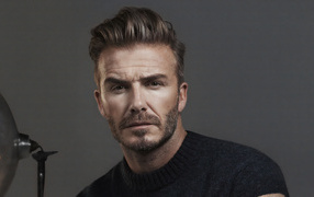 Handsome man David Beckham on a gray background