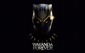 Логотип фильма Чёрная пантера: Ваканда навеки