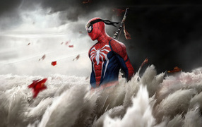 Ниндзя Человек паук на поле