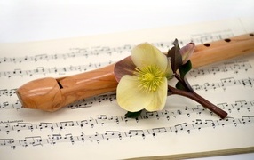 Music notes, flute and flower on white background