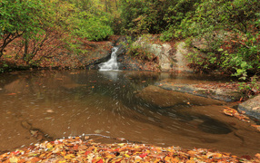 Красивый холодный осенний лес с водопадом