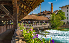 Beautiful wooden bridge with flowers across the river