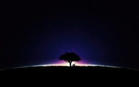Big tree against the sky at night