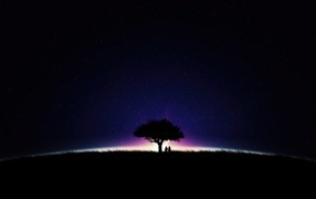 Большое дерево на фоне неба ночью