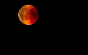 Blood moon in the black sky
