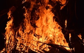 Bright hot fire of a fire close up