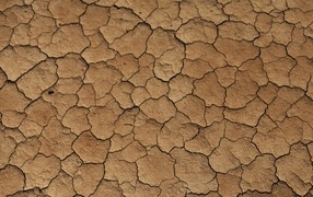 Cracks in dry ground