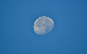 Half big moon on blue background