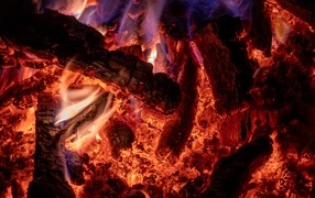 Hot wood in a fire