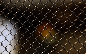 Iron mesh closeup