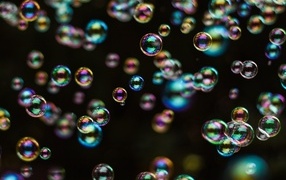 Multicolored soap bubbles on a black background
