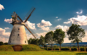 Старая мельница с зелеными деревьями