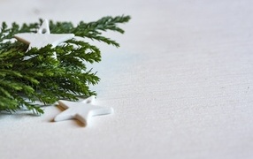 Stars and spruce branch on a white surface