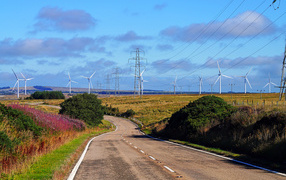 Wind turbines in a field by the road under blue sky