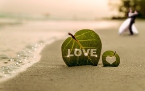 Зеленый лист в надписью любовь на песке у моря