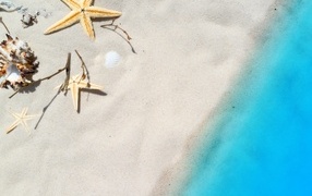 Starfish and shells on white sand near blue water