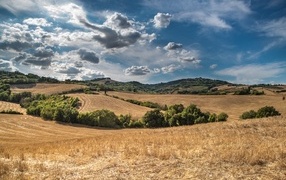 Красивый вид на поле под небом с белыми облаками