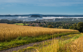 Fog over the city near the wheat field