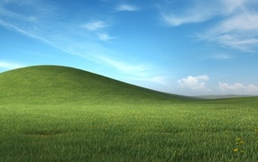 Green field under the blue sky on the desktop