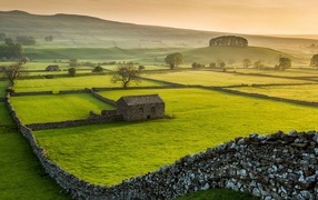 Green fields with stone fences on a farm