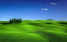 Green wavy field under blue sky