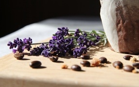 Синие цветы лаванды с зернами кофе