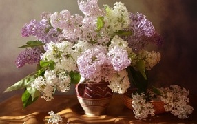 Букет разноцветных цветок сирени в вазе