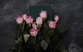 Букет розовых роз с книгой на сером столе